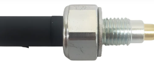 CEBOLINHA LUZ RÉ GOL/VOYAGE G5/G6 3RHO